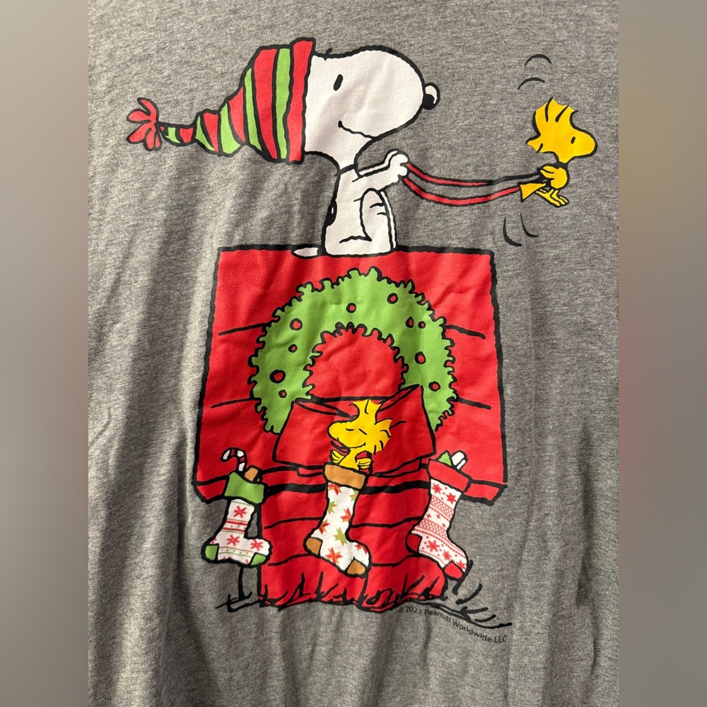 Peanuts Gray Graphic Long Sleeve Tee